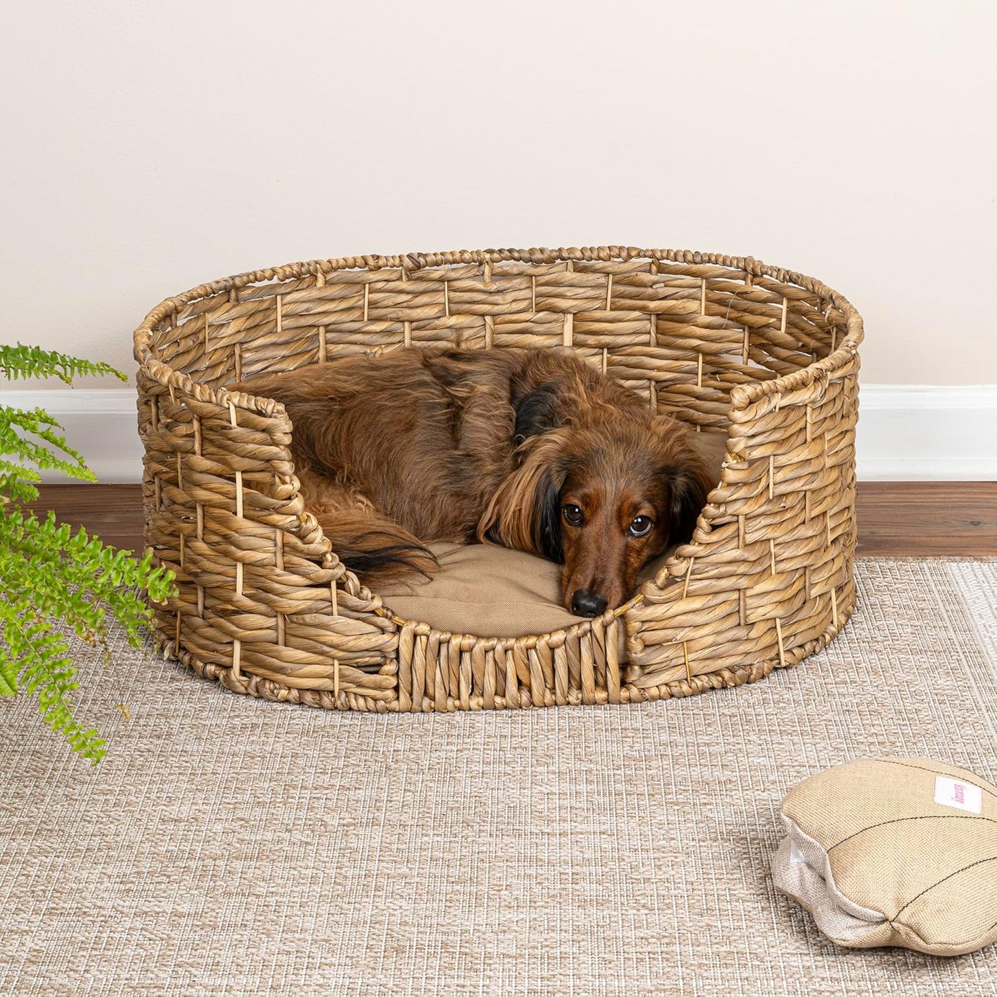 DBD4001A Perri 24" x 18" Classic Farmhouse Handwoven Hyacinth Oval Pet Bed with Machine-Washable Cushion, Natural
