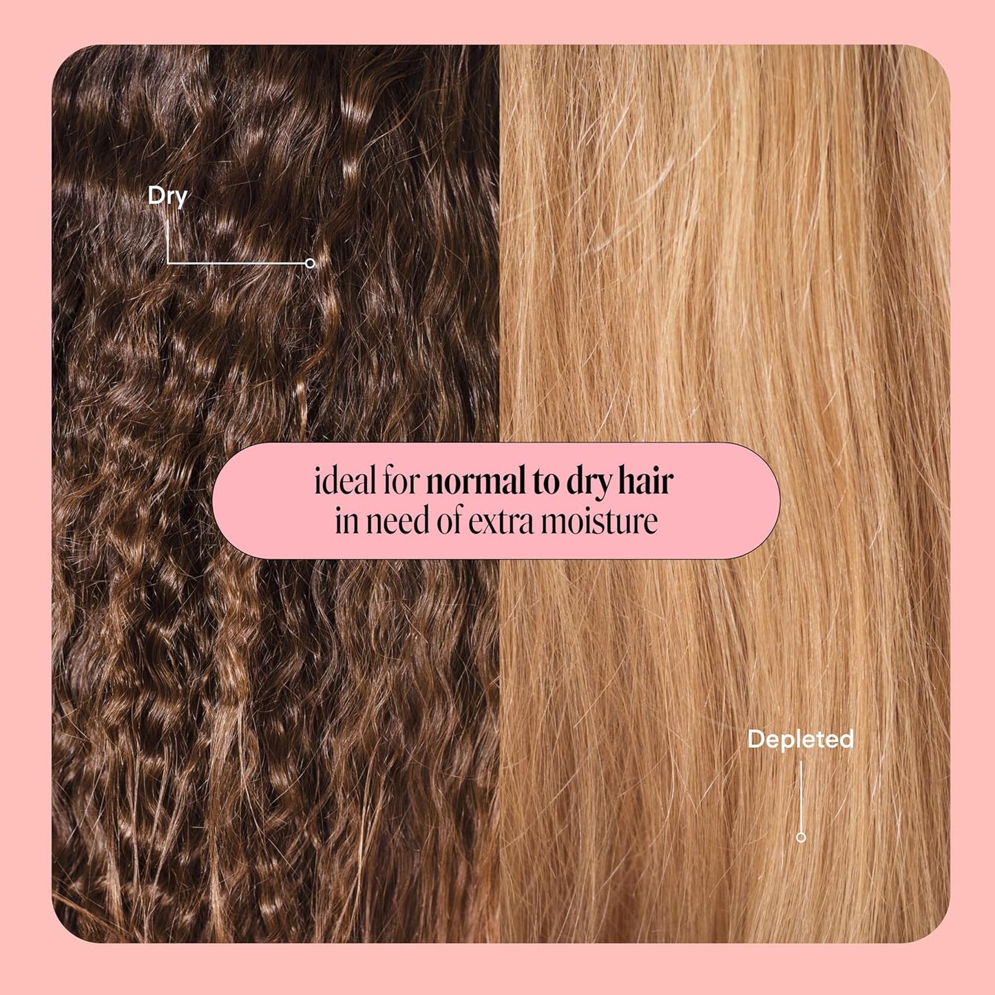 MONDAY HAIRCARE Moisture Shampoo + Conditioner Set for Dry, Coarse, Stressed, Frizzy Hair, Made with Coconut Oil, Rice Protein, Shea Butter and Vitamin E, All Natural, 12 fl oz (Pack of 2)