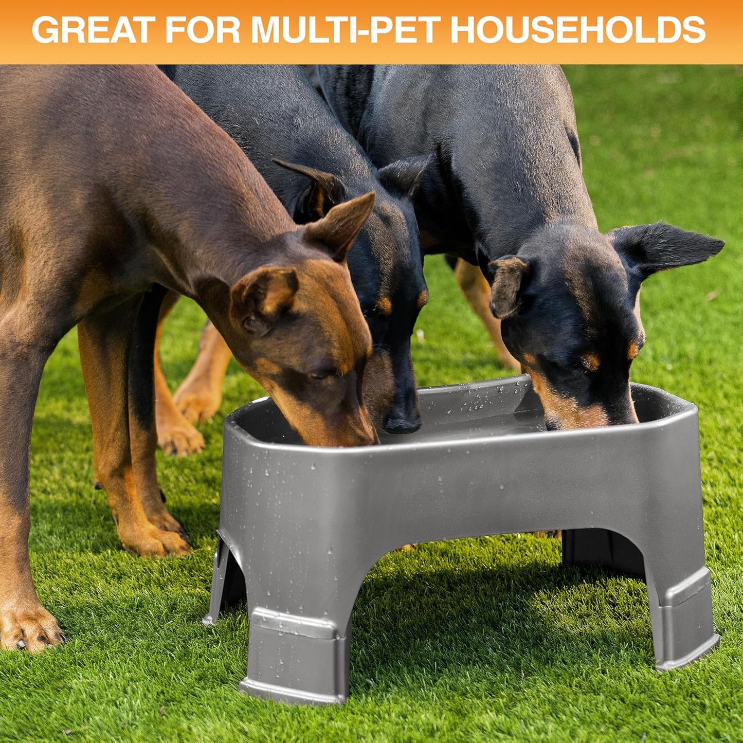 Neater Pet Brands Extra Large Water Bowl for Dogs, Elevated Outdoor Dog Water Bowl (1.25 Gallon XL Capacity), Big Trough Style Food Dish for Indoors or Outside, No Spill Large Dog Bowls, Gunmetal Grey