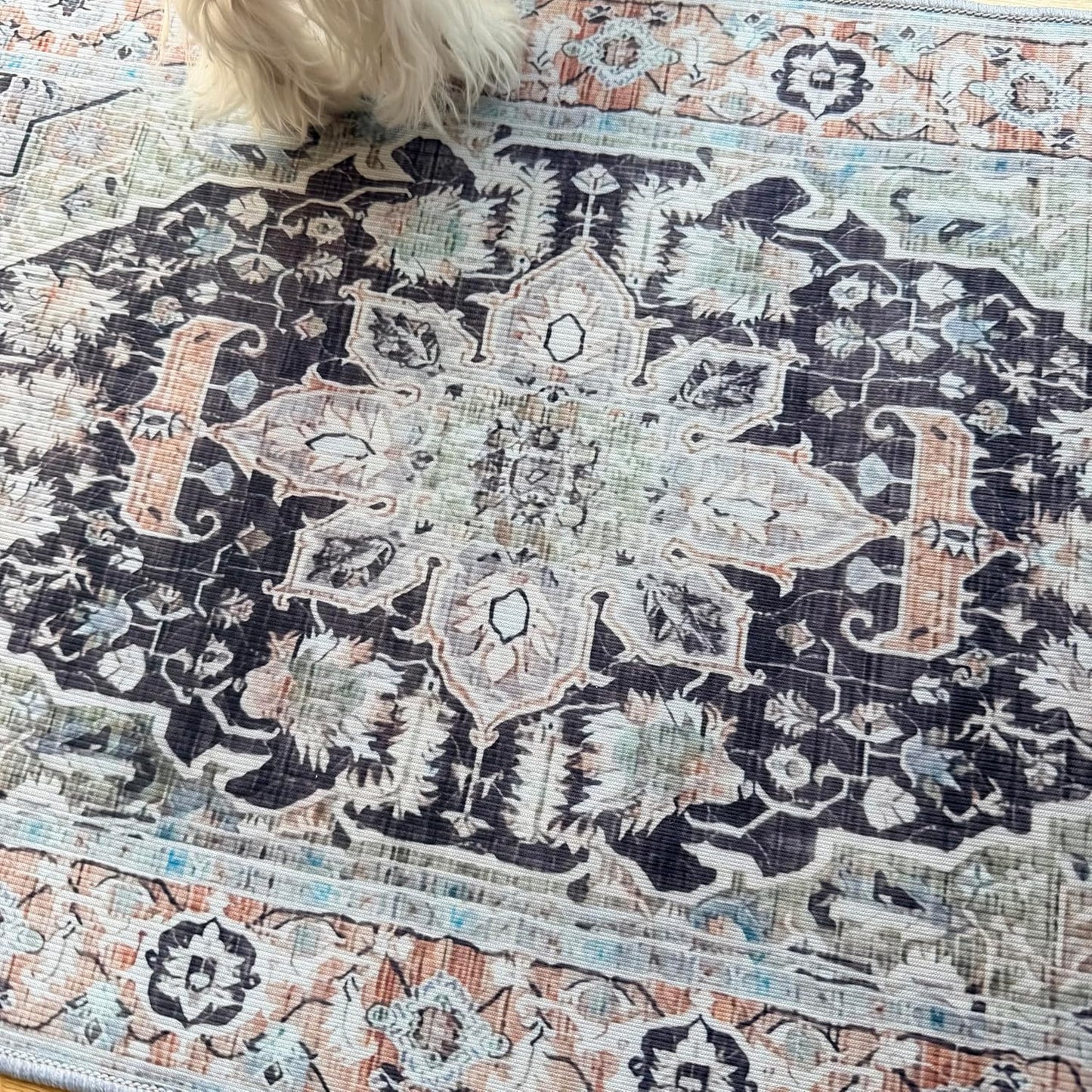 Boho Dog Door Mat, Absorbent Door Mat Indoor, Washable Pee Pads for Dogs, Reusable Puppy Training Pads, Quick Dry Non-Slip Pet Entryway Rug, Pet Placemat for Food and Water Bowl (Blue)