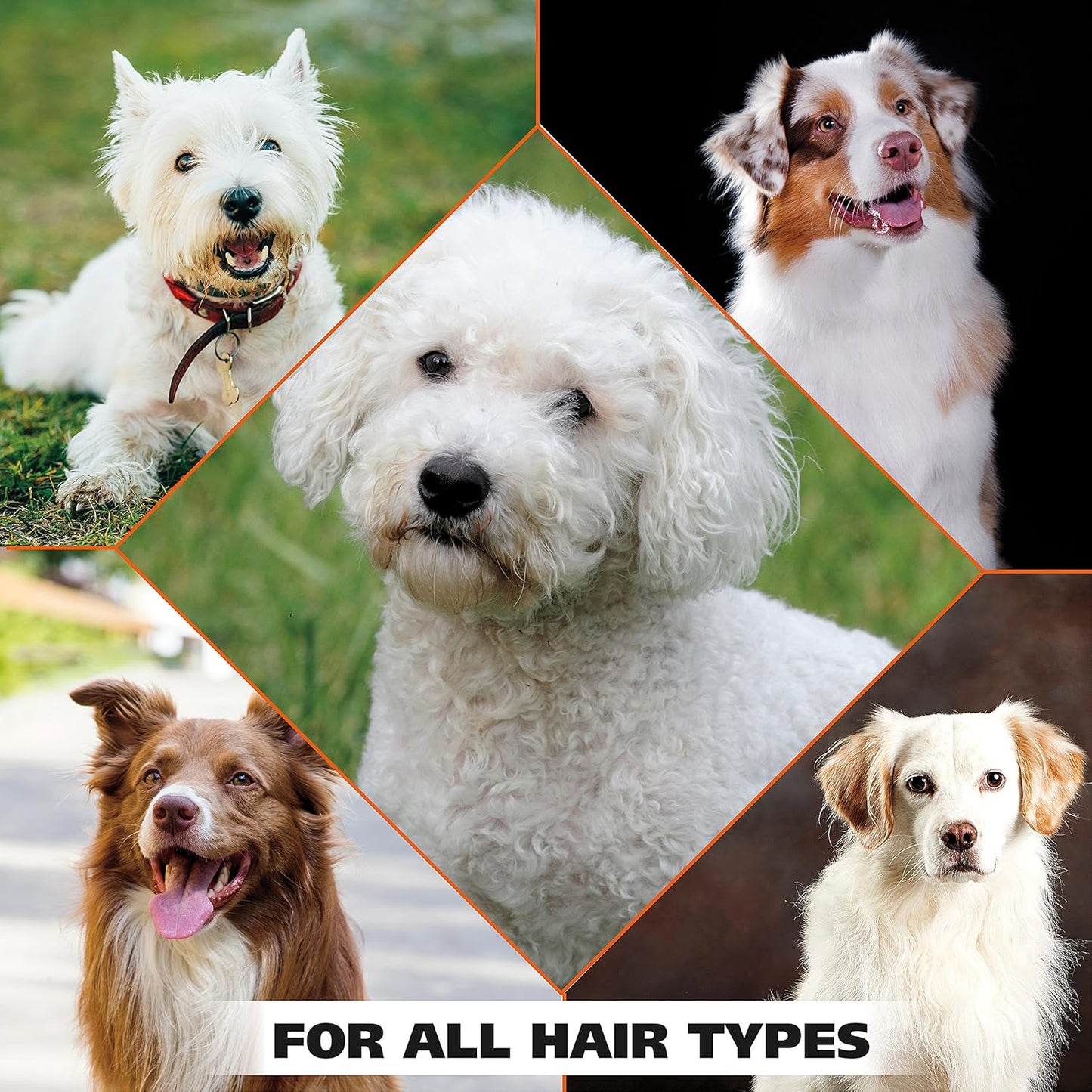 Wahl USA Whitening Shampoo White Pear scent for Pets – Whitening & Animal Odor Control with Silky Smooth Results for Grooming Dirty Dogs – 24 oz - Model 820001A