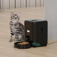 Smart timed dog food dispenser with clear hopper