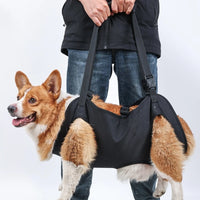 Padded dog support harness adjustable straps