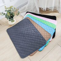 Absorbent reusable training pad for senior dogs