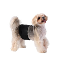 Male dog wrap absorbent liner detail