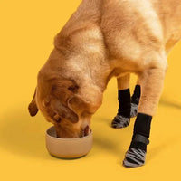 Non-slip dog socks with adjustable straps for hardwood floors