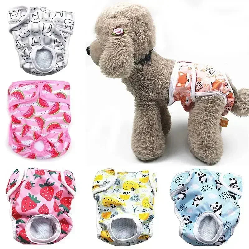 Senior Dog Incontinence Care Set — Washable Diapers + Belly Bands + Reusable Pee Pads + Waterproof Cover Bundle