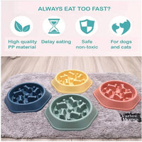 Interactive slow feeding bowl maze design