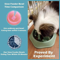 Bloat-stop slow feeder dog bowl in use