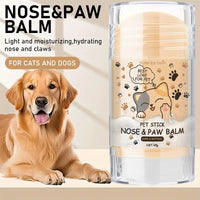 Dog paw balm protection for hot and cold surfaces